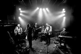 treehouseband.com Panelius
