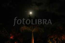 fotolibra.com Paneser