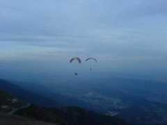 paragliding365.com Panetone