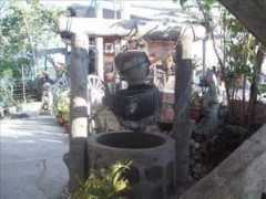 wn.com Pangasian