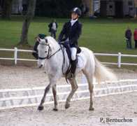 poneydesport.com Pangaud