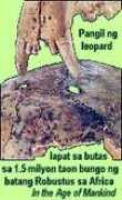 elaput.com Pangil