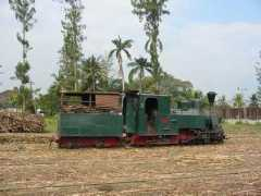 internationalsteam.co.uk Pangka
