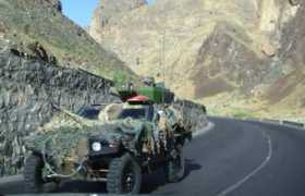 freerangeinternational.com Panhard