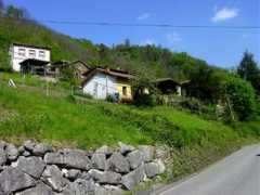 peraveles.com Paniceres