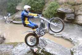 todotrial.com Panicot