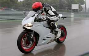 telegraph.co.uk Panigal