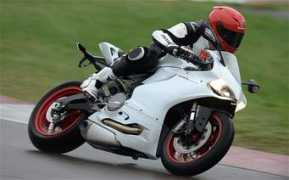 telegraph.co.uk Panigal