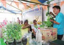 newsbits.mb.com.ph Paningbatan