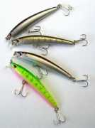 carnassiers.com Panish