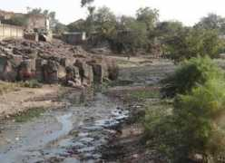 thehindu.com Panjan