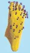 pharmspia.com Panmak