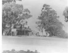 Pannam