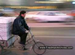 friedmanarchives.com Panning