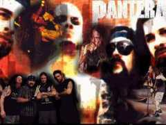 myfreewallpapers.net Pantera
