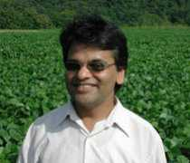 plantsciences.utk.edu Panthee