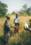 westafrika.de Papatia