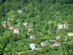 panoramio.com Papila