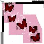 lilou53.eklablog.com Papillons