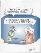 lagaceta.com.ar Papita