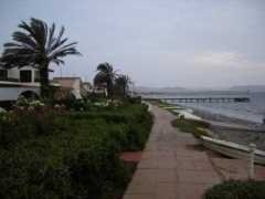 panoramio.com Paracas