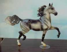 ponylagoon.muerte.net Paradigm