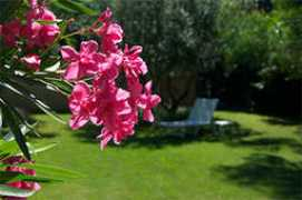 glennieauparadix.com Paradix