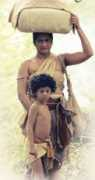 island.lk Parakum