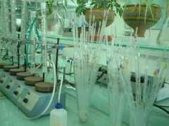 mums.ac.ir Paramedical