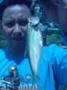 fishyforum.com Parangan