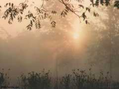 meteoline.hu Parassa