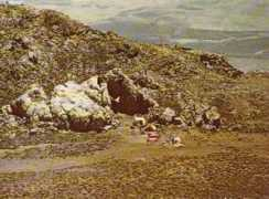 Parau