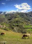 panoramio.com Pardines
