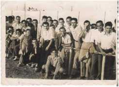 Pardino