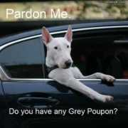 evilmilk.com Pardon