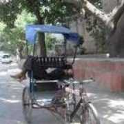 imtfi.uci.edu Parichan