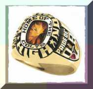 classrings.tv Pariot