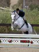 greenfieldstables.com Parist