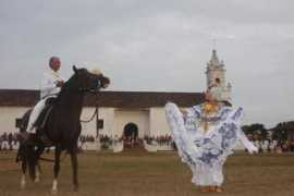 peruvianhorseworld.com Parita