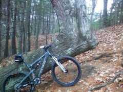 forums.mtbr.com Parkers
