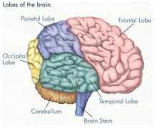 funscrape.com Parkinsons