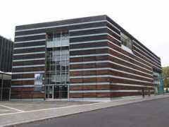 Parkkinen