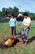 romanianmonasteries.org Parlind