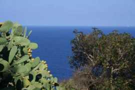 panoramio.com Parmi