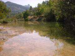 naturalezadearagon.com Parrisa