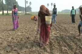 financialexpress.com Parshottam