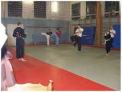 hiryuudojo.be Partoens
