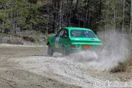ralli.verkkonen.net Partti