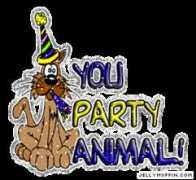 jellymuffin.com Partyanimal