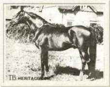 tbheritage.com Parwiz